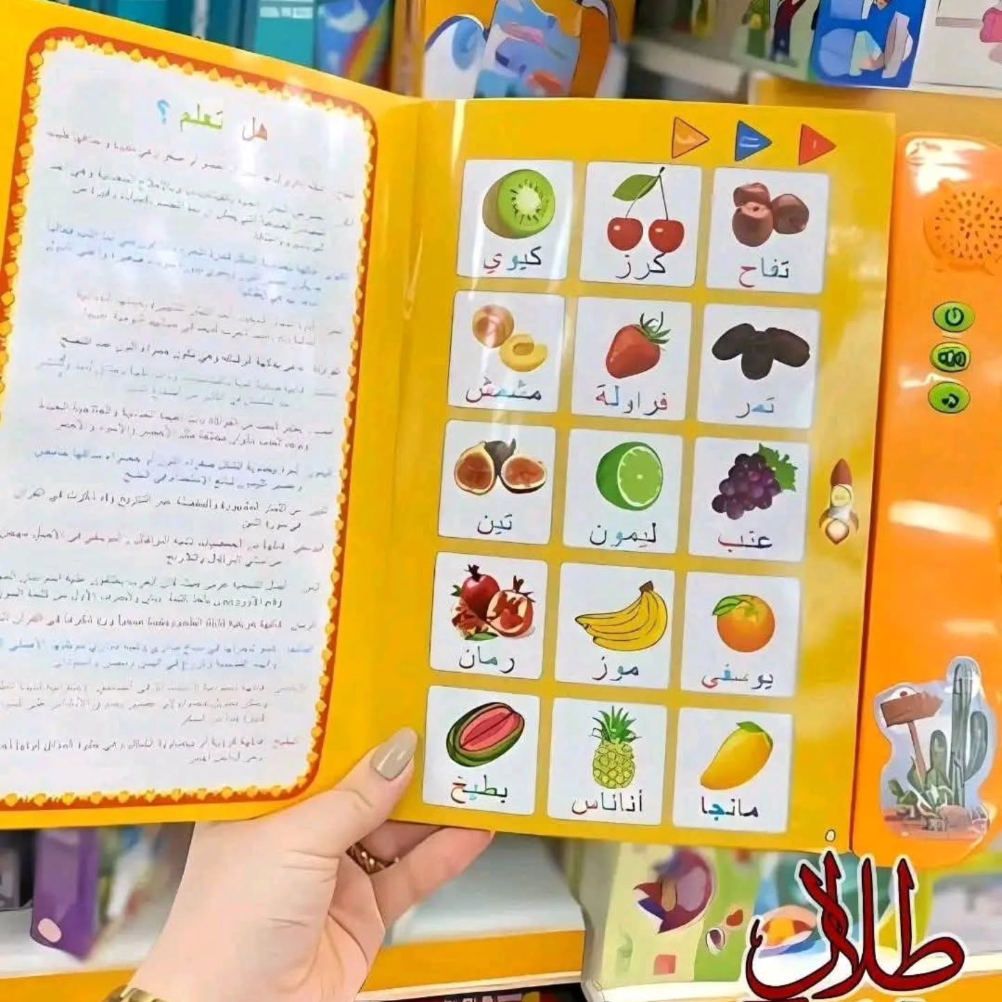 الكتاب الالكتروني للمفردات